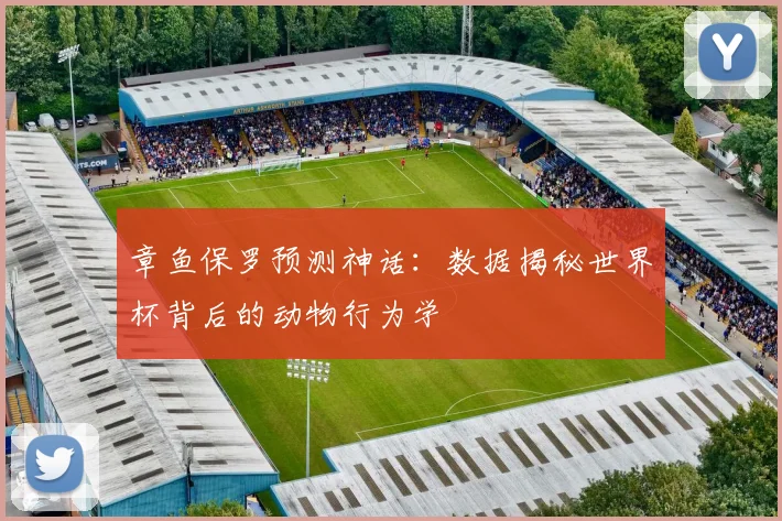 章鱼保罗预测神话：数据揭秘世界杯背后的动物行为学